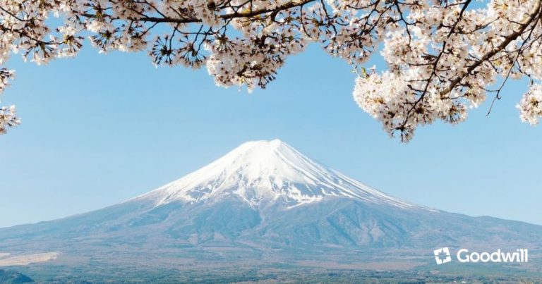 Read more about the article Fedezd fel Japán titkait, meríts belőle inspirációt: gyógynövények és a menopauza